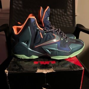 Nike LeBron XI (11) Akron